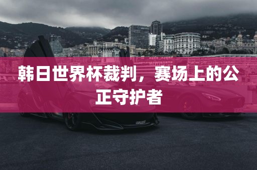 韩日世界杯裁判，赛场上的公正守护者