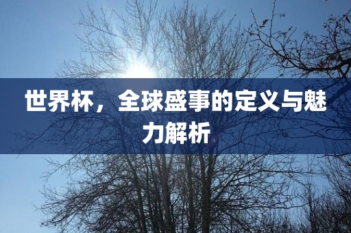 世界杯，全球盛事的定义与魅力解析金炬实业股份有限公司