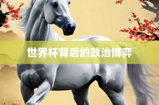 世界杯背后的政治博弈
