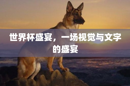 世界杯盛宴，一场视觉与文字的盛宴