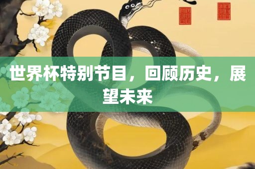 世界杯特别节目，回顾历史，展望未来