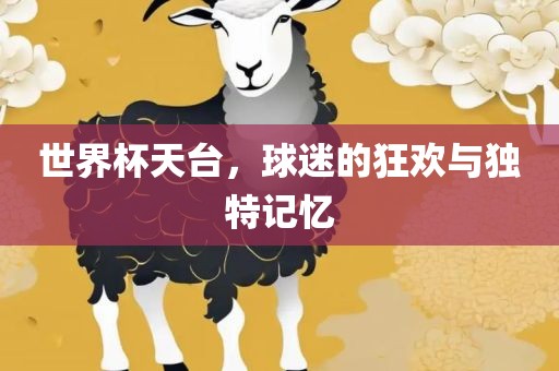 世界杯天台，球迷的狂欢与独特记忆