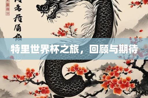 特里世界杯之旅，回顾与期待