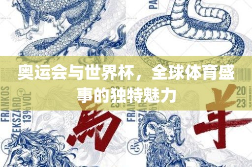 奥运会与世界杯，全球体育盛事的独特魅力