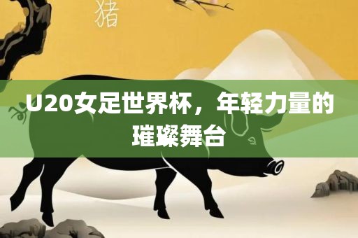 U20女足世界杯，年轻力量的璀璨舞台