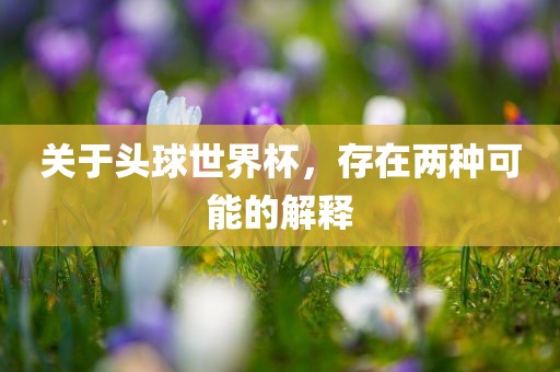 关于头球世界杯，存在两种可能的解释