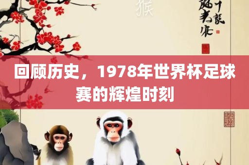 回顾历史，1978年世界杯足球赛的辉煌时刻