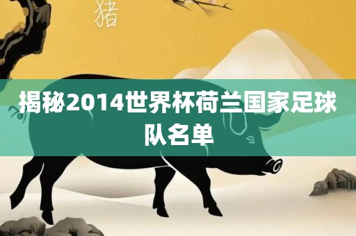 揭秘2014世界杯荷兰国家足球队名单