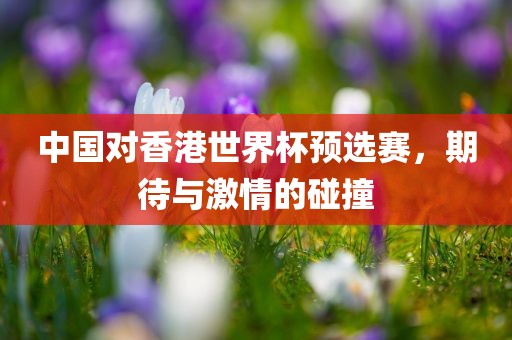 中国对香港世界杯预选赛，期待与激情的碰撞