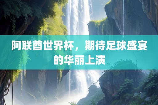 阿联酋世界杯，期待足球盛宴的华丽上演