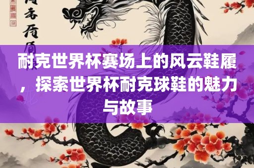 耐克世界杯赛场上的风云鞋履，探索世界杯耐克球鞋的魅力与故事