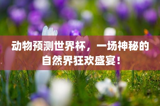 动物预测世界杯，一场神秘的自然界狂欢盛宴！