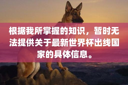根据我所掌握的知识，暂时无法提供关于最新世界杯出线国家的具体信息。