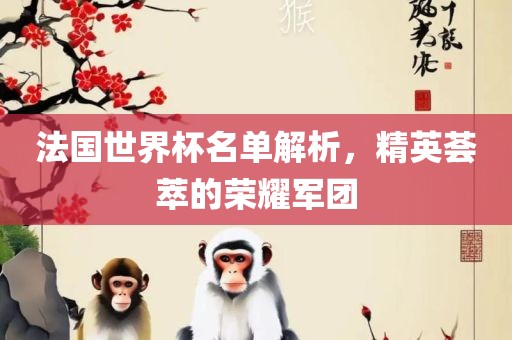 法国世界杯名单解析，精英荟萃的荣耀军团