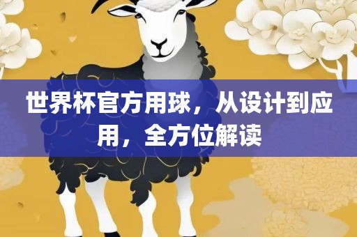 世界杯官方用球，从设计到应用，全方位解读