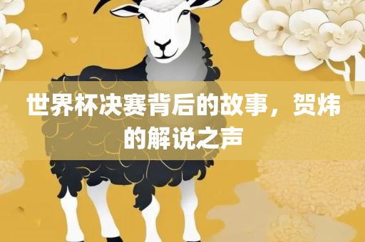 世界杯决赛背后的故事，贺炜的解说之声