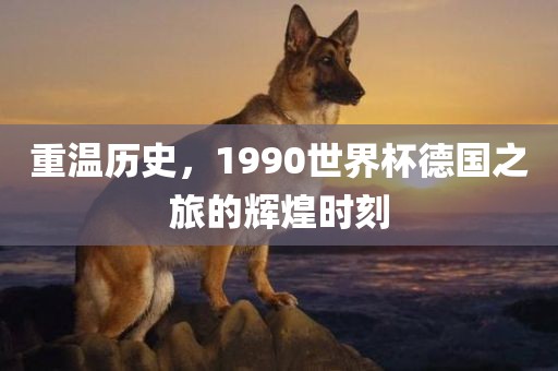重温历史，1990世界杯德国之旅的辉煌时刻