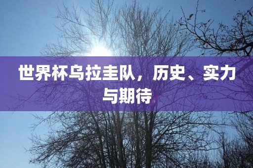 世界杯乌拉圭队，历史、实力与期待