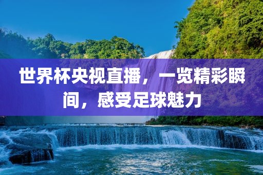 世界杯央视直播，一览精彩瞬间，感受足球魅力金炬实业股份有限公司