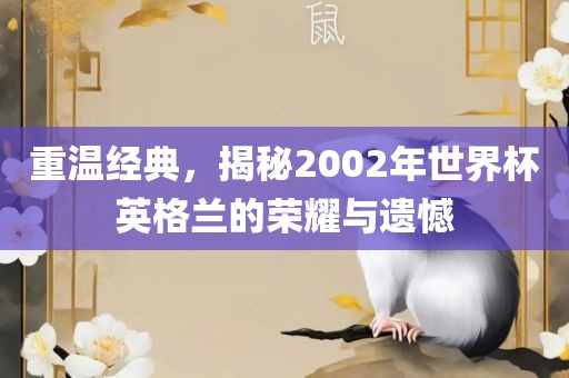 重温经典，揭秘2002年世界杯英格兰的荣耀与遗憾