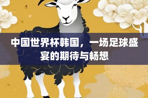 中国世界杯韩国，一场足球盛宴的期待与畅想金炬实业股份有限公司