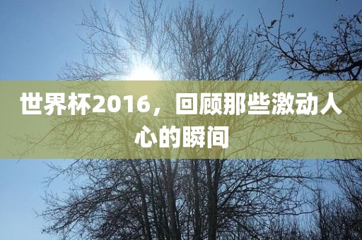 世界杯2016，回顾那些激动人心的瞬间金炬实业股份有限公司