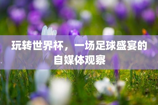 玩转世界杯，一场足球盛宴的自媒体观察
