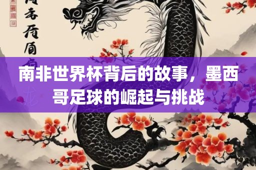 南非世界杯背后的故事，墨西哥足球的崛起与挑战