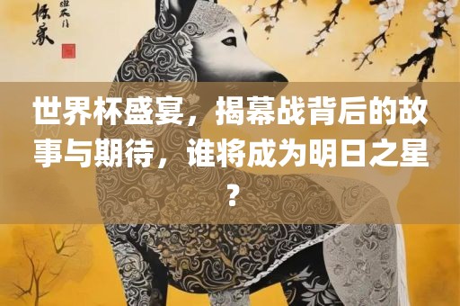 世界杯盛宴，揭幕战背后的故事与期待，谁将成为明日之星？