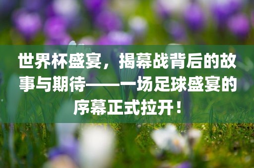 世界杯盛宴，揭幕战背后的故事与期待——一场足球盛宴的序幕正式拉开！