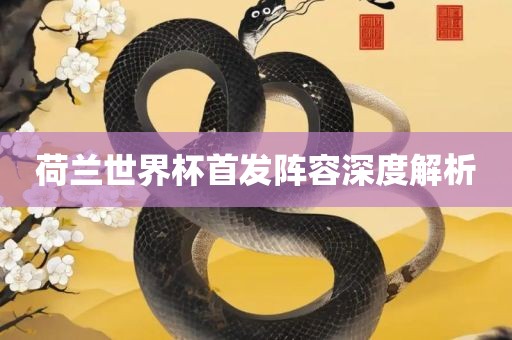 荷兰世界杯首发阵容深度解析