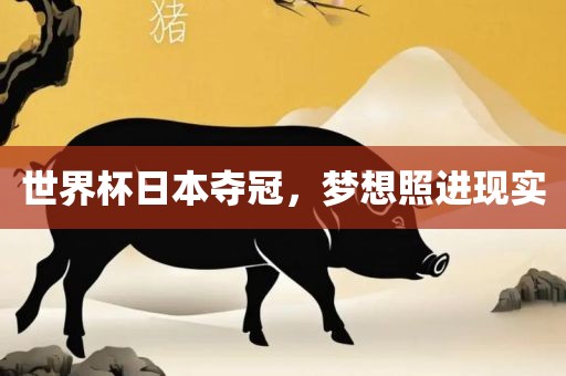 世界杯日本夺冠，梦想照进现实