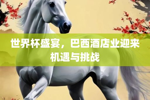 世界杯盛宴，巴西酒店业迎来机遇与挑战