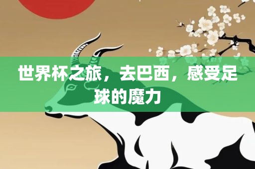 世界杯之旅，去巴西，感受足球的魔力