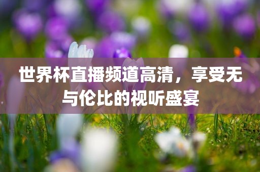 世界杯直播频道高清，享受无与伦比的视听盛宴