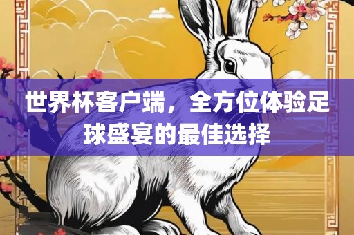 世界杯客户端，全方位体验足球盛宴的最佳选择