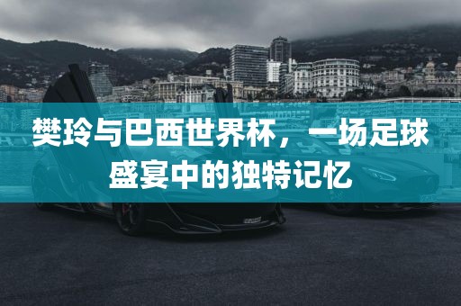 樊玲与巴西世界杯，一场足球盛宴中的独特记忆