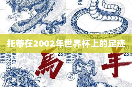托蒂在2002年世界杯上的足迹