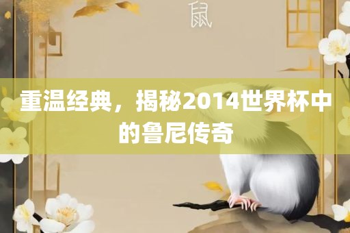 重温经典，揭秘2014世界杯中的鲁尼传奇