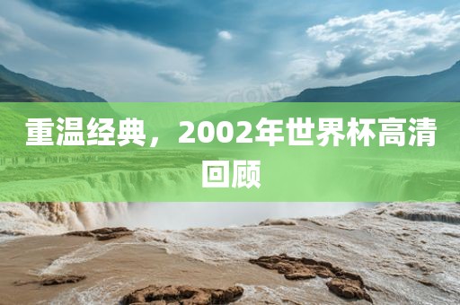 重温经典，2002年世界杯高清回顾