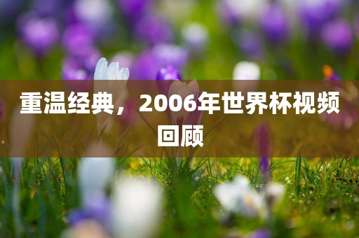 重温经典，2006年世界杯视频回顾