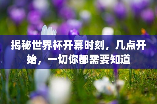 开始时间