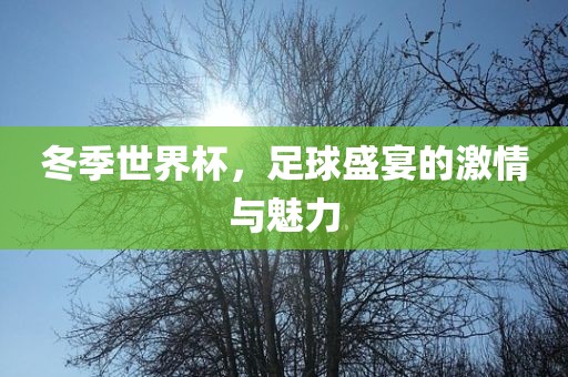 冬季世界杯，足球盛宴的激情与魅力