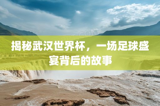 揭秘武汉世界杯，一场足球盛宴背后的故事金炬实业股份有限公司