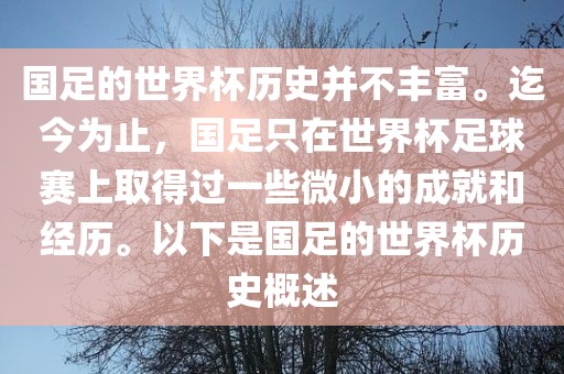 国足的世界杯历史并不丰富。迄今为止，国足只在世界杯足球赛上取得过一些微小的成就和经历。以下是国足的世界杯历史概述