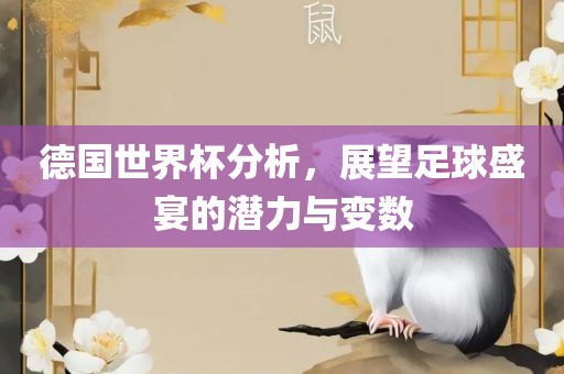 德国世界杯分析，展望足球盛宴的潜力与变数