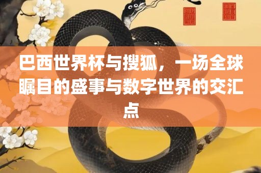 巴西世界杯与搜狐，一场全球瞩目的盛事与数字世界的交汇点