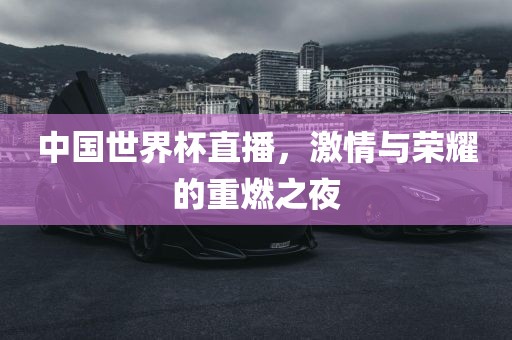 中国世界杯直播，激情金炬实业股份有限公司与荣耀的重燃之夜
