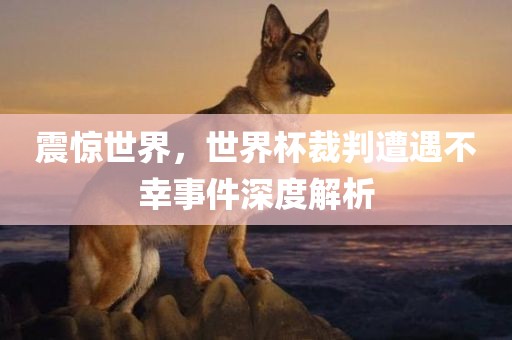 震惊世界，世界杯裁判遭遇不幸事件深度解析