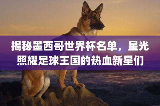 揭秘墨西哥世界杯名单，星光照耀足球王国的热血新星们